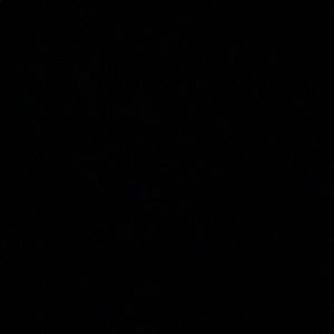 Meet your Posher, Samuel